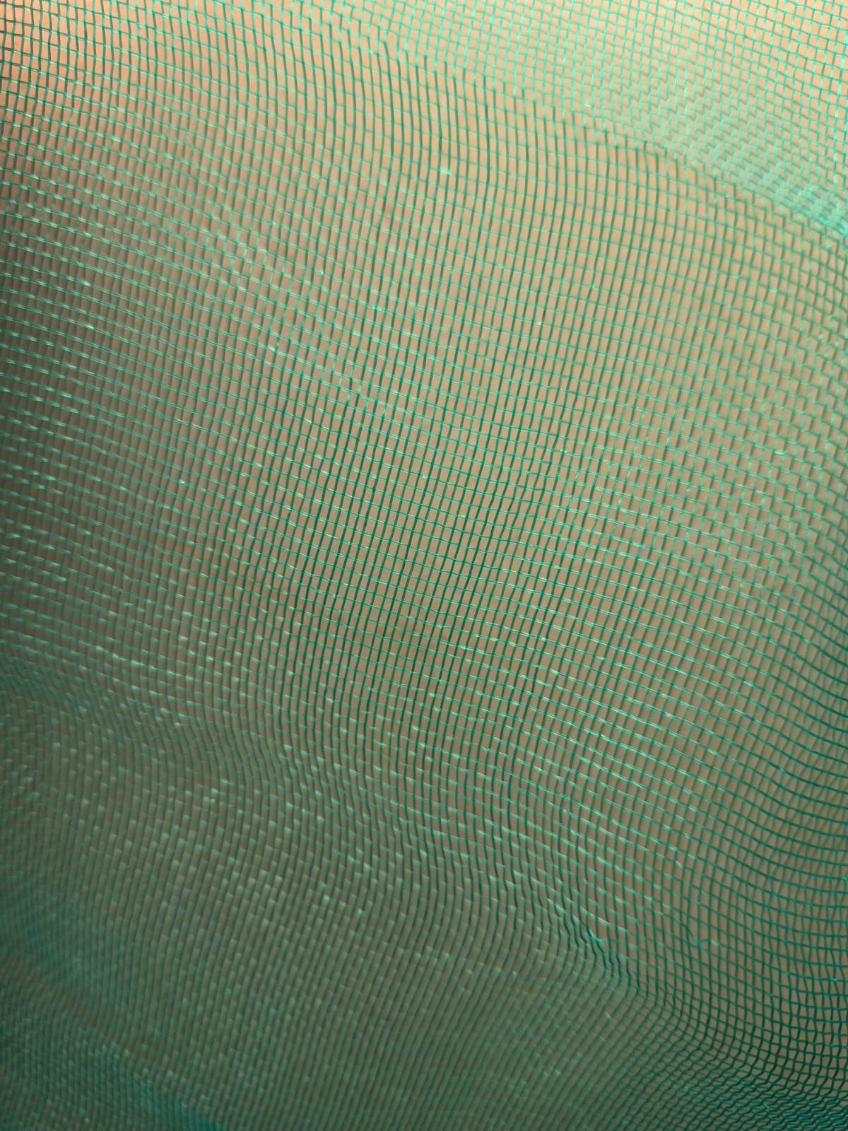Safety Net / Polynet thumbnail 2
