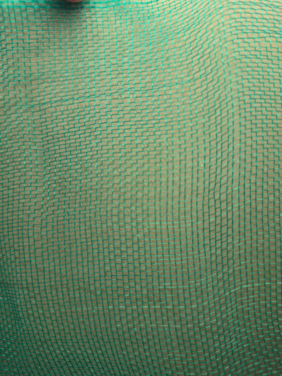Safety Net / Polynet thumbnail 3